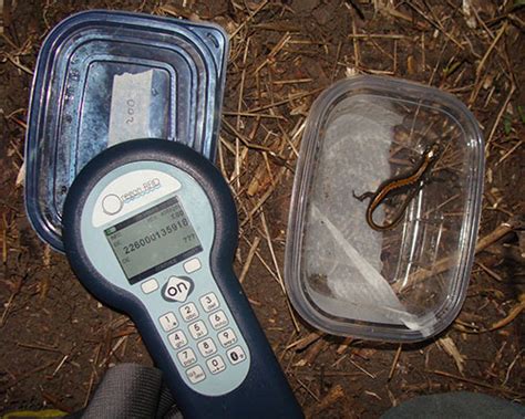 oregon rfid pit tag reader|Oregon rfid reader.